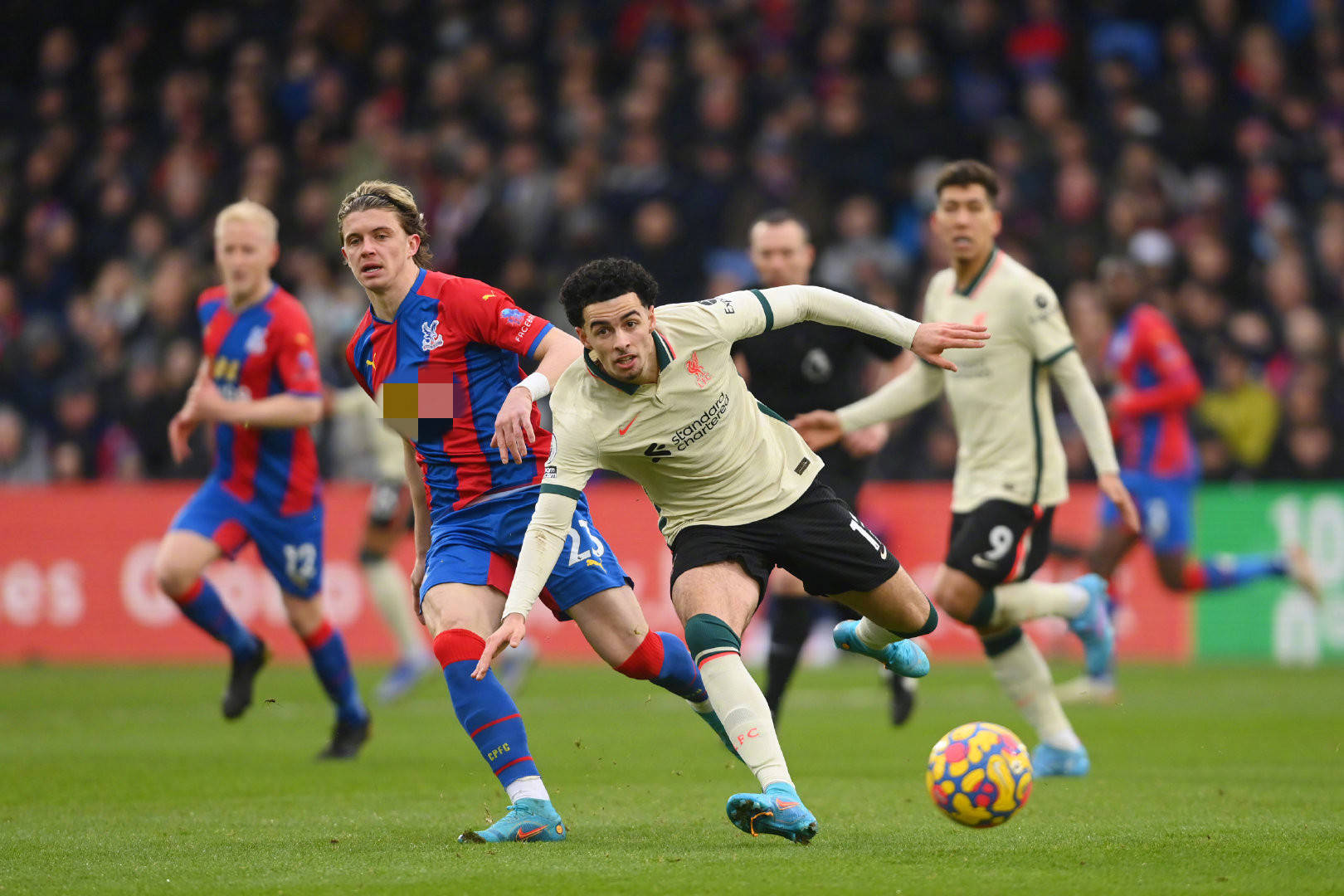 等待他的依 等待他的依